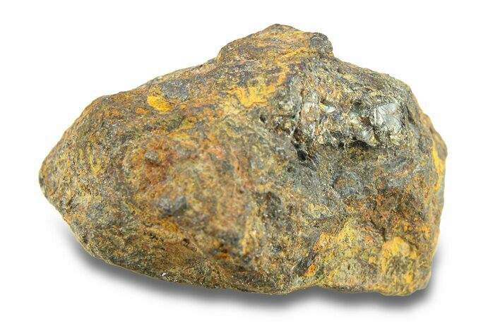 Pallasite Meteorite ( g) - NWA #281398